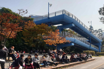 가을의 낭만이 물씬~” <제11회 토정백일장 및 제8회 토정가요제> 개최