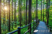 안산자락길, 2023년 우수 유니버설 관광시설 선정