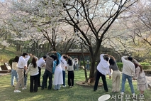 '썸대문 with 벚꽃' 경쟁률 8:1…뜨거운 호응