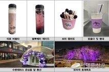 서대문구에 보랏빛 폭포가 내린다