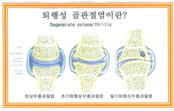  <사진자료 출처> 네이버 이미지 